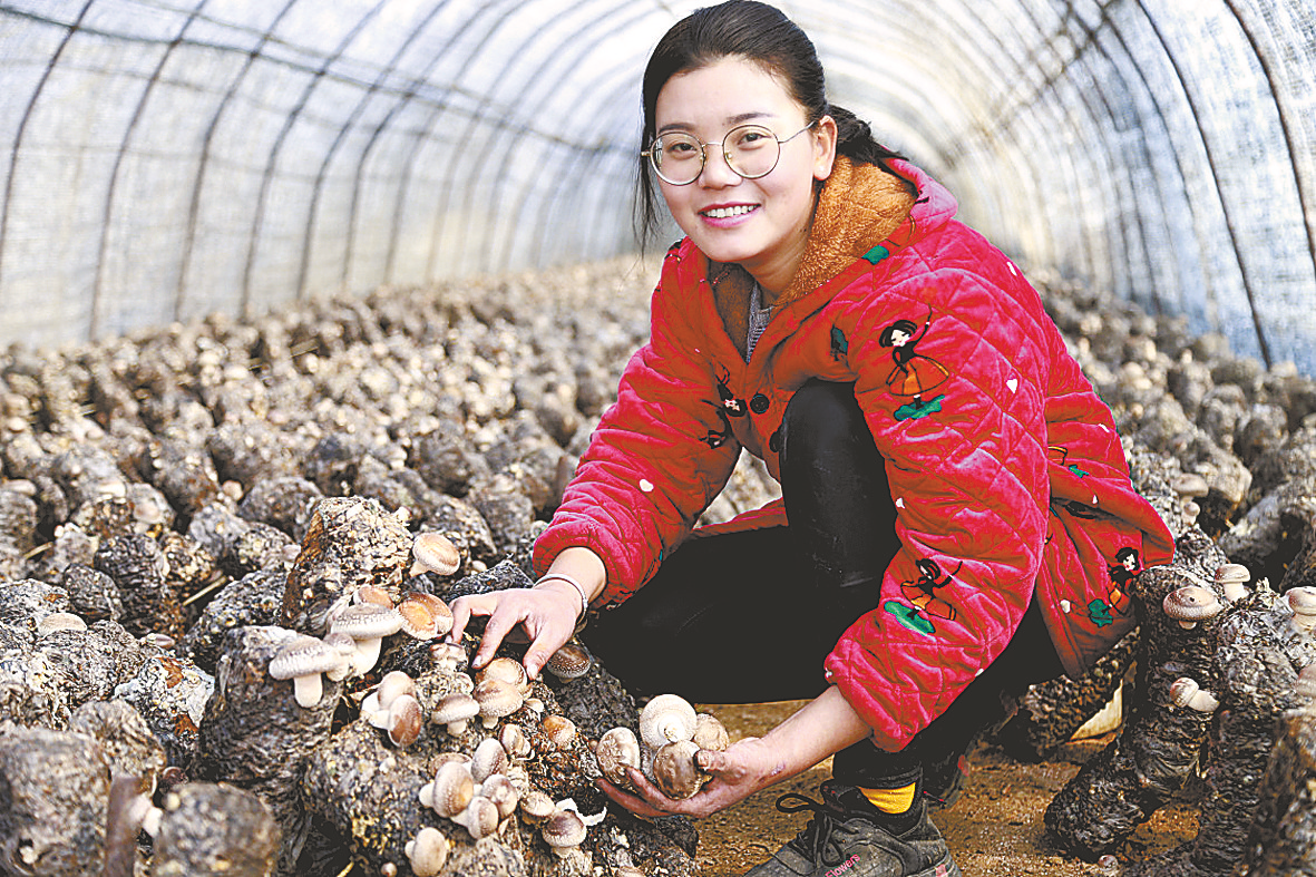 2月3日,一大早,位于泌阳县马谷田镇罗桥村小河南村香菇种植大棚内