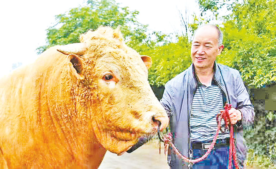 祁兴磊人生的加减法