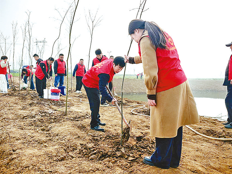 植绿护绿正当时