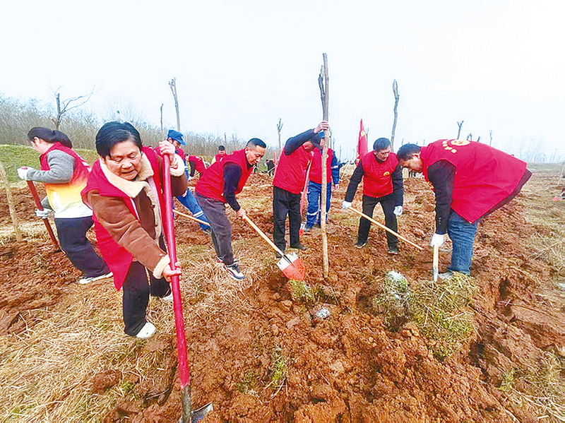 种下一片绿 守护一方春