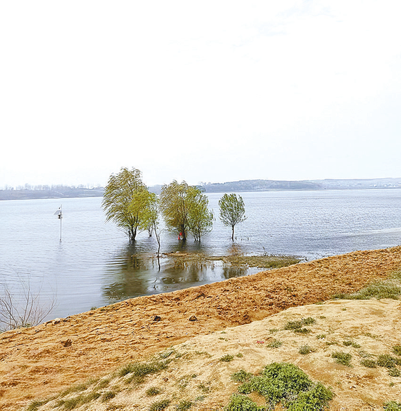 生死距离30米 勇救落水女孩