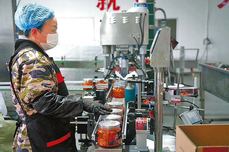 正阳：小咸菜闯出大市场